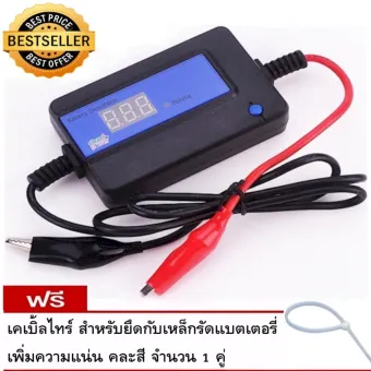 Mithae Desulphator Doctor prolong battery deterioration 12-48V Blue