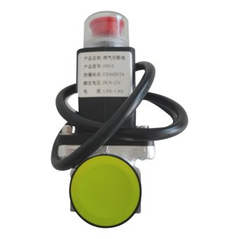 SO308 Gas Emergency Shut Off Solenoid Valves - Intl image