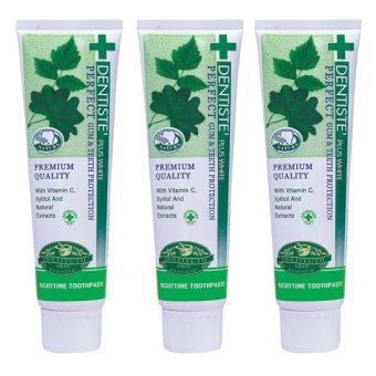 Dentiste' Plus White Toothpaste ยาสีฟัน เดนทิสเต้ 160 g. (แพ็ค3 หลอด)