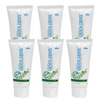 Denta Dente ยาสีฟัน Organic Fluoride ขนาด 60 g. (6 กล่อง)