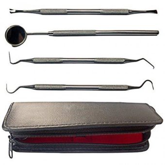 Dentist Tool Kit Stainless Steel Tarter Remover Dental - intl