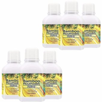 Bamboo Mouthwash Plus แบมบู เม้าท์วอช พลัส 300ml. (6 ขวด)