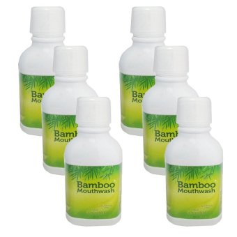 Hybeauty Bamboo Mouthwash น้ำยาบ้วนปาก ระเบิดคราบหินปูน แบมบู 300 ml. (6 ขวด)