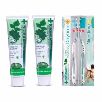 Dentiste' Plus White Toothpaste 100g.(2Pcs.)+Dentiste' Daytime&Nighttime Toothbrush (1Pcs.)