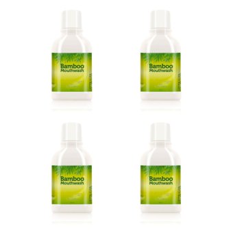 HYLIFE Bamboo Mouth Wash x4ขวด ไฮไลฟ์ แบมบู น้ำยาบ้วนปากจากต้นไผ่ 300ml