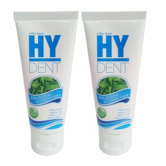 HY DENT ยาสีฟันไฮเด็นท์ ระงับกลิ่นปาก 2 หลอด (80 g./หลอด)