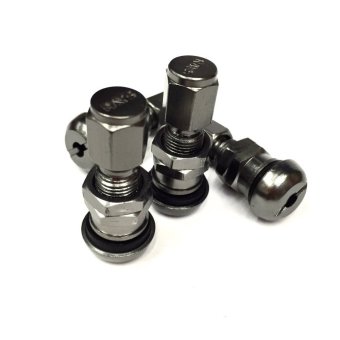 รูปภาพ เกี่ยวกับ CAR จุ๊บปิดลมยางอลูมิเนียม ชุดตัวผู้+ตัวเมีย (สีเทา)