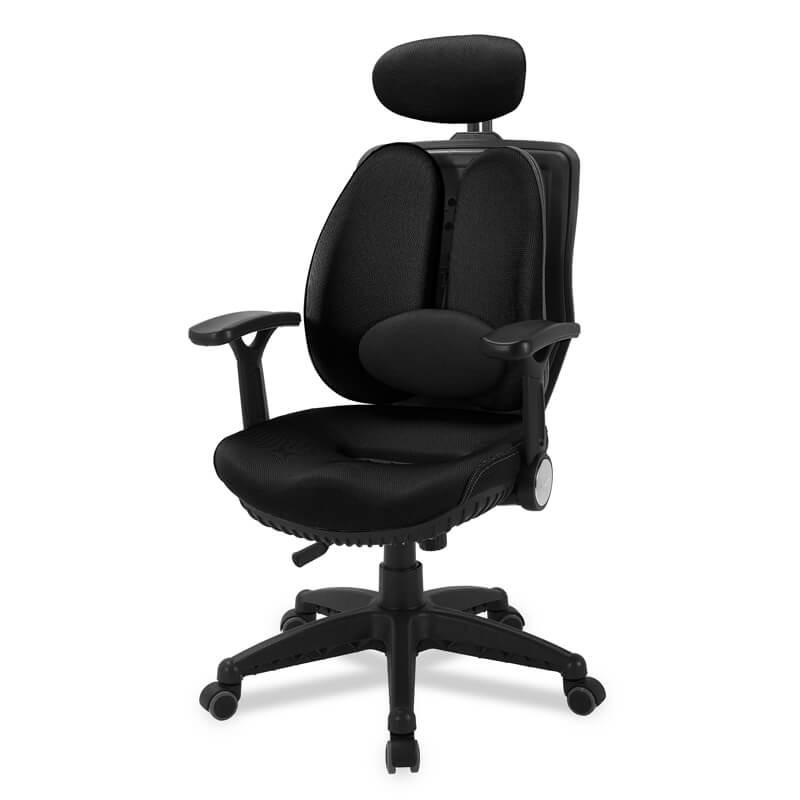 Ergotrend เก้าอี้เพื่อสุขภาพ เออร์โกเทรน รุ่นDual-06BFF สีดำ
