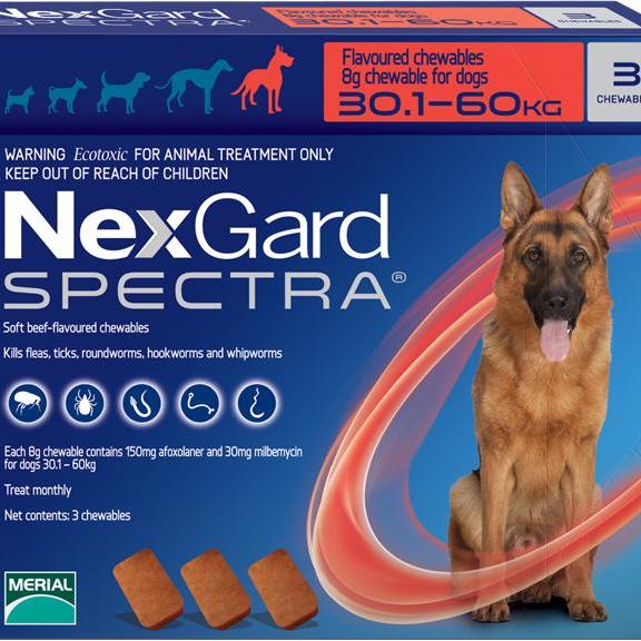 Nexgard Spectra XL สำหรับสุนัขน้ำหนัก 30-60kg.