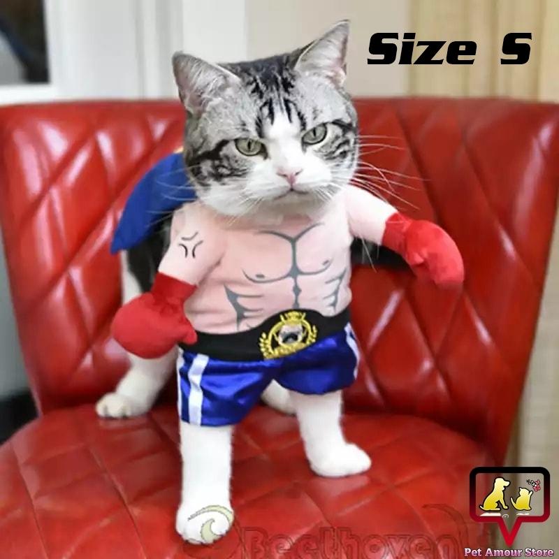 ชุดนักมวย ชุดมวย ชุดแฟนซี สำหรับแมว (Size S)