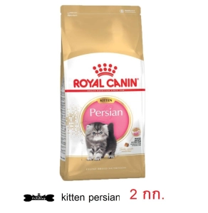 ภาพหน้าปกสินค้าRoyal Canin kitten persian Food อาหารลูกแมว อายุน้อยกว่า 1 ปี พันธุ์เปอร์เซีย แบบเม็ด  ขนาด 2kg ซึ่งคุณอาจชอบสินค้านี้