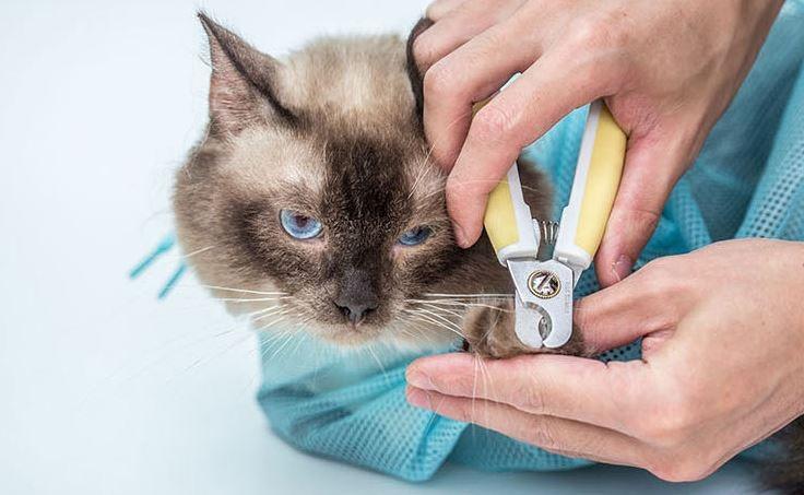 ถุงตาข่ายอาบน้ำแมว ถุงตัดเล็บแมว ถุงอเน็กประสงค์  สีฟ้า
