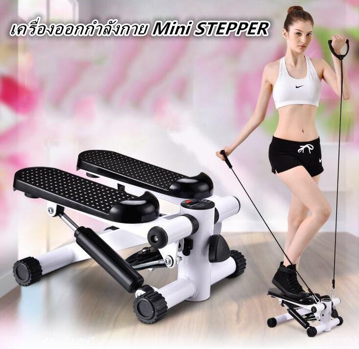 Welucky เครื่องออกกำลังกาย Mini STEPPER