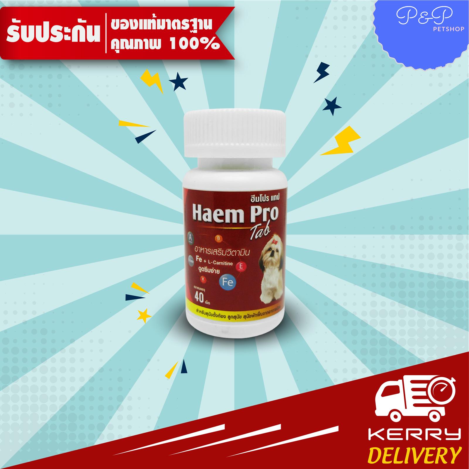 ยาบำรุงเลือดสุนัข Haem Pro tab 40 เม็ด