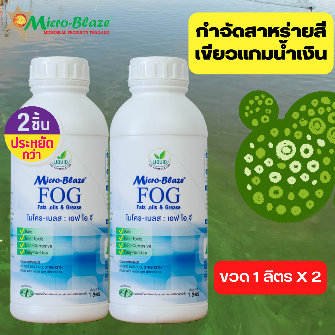 Micro-Blaze F.O.G1000ml.แพ็ค2 หัวเชื้อจุลินทรีย์เข้มข้นจากอเมริกา ลดสาหร่ายสีเขียวแกมน้ำเงิน ในบ่อน้ำบ่อเลี้ยงปลา ราคา 3,100 บาท*ส่งฟรี
