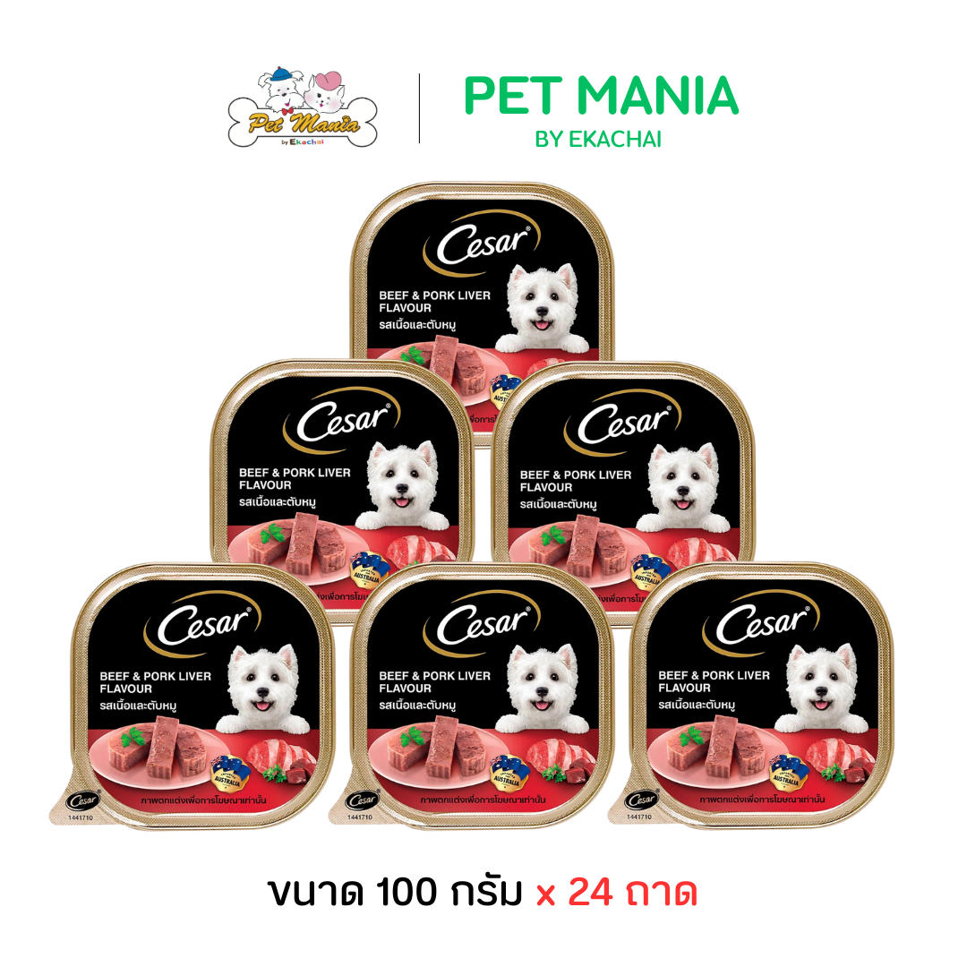 Cesar ซีซาร์ (24ถาด) อาหารสุนัข อาหารเปียก แบบถาด รสเนื้อวัวและตับ ขนาด100g. ราคา 850 บาท*ส่งฟรี