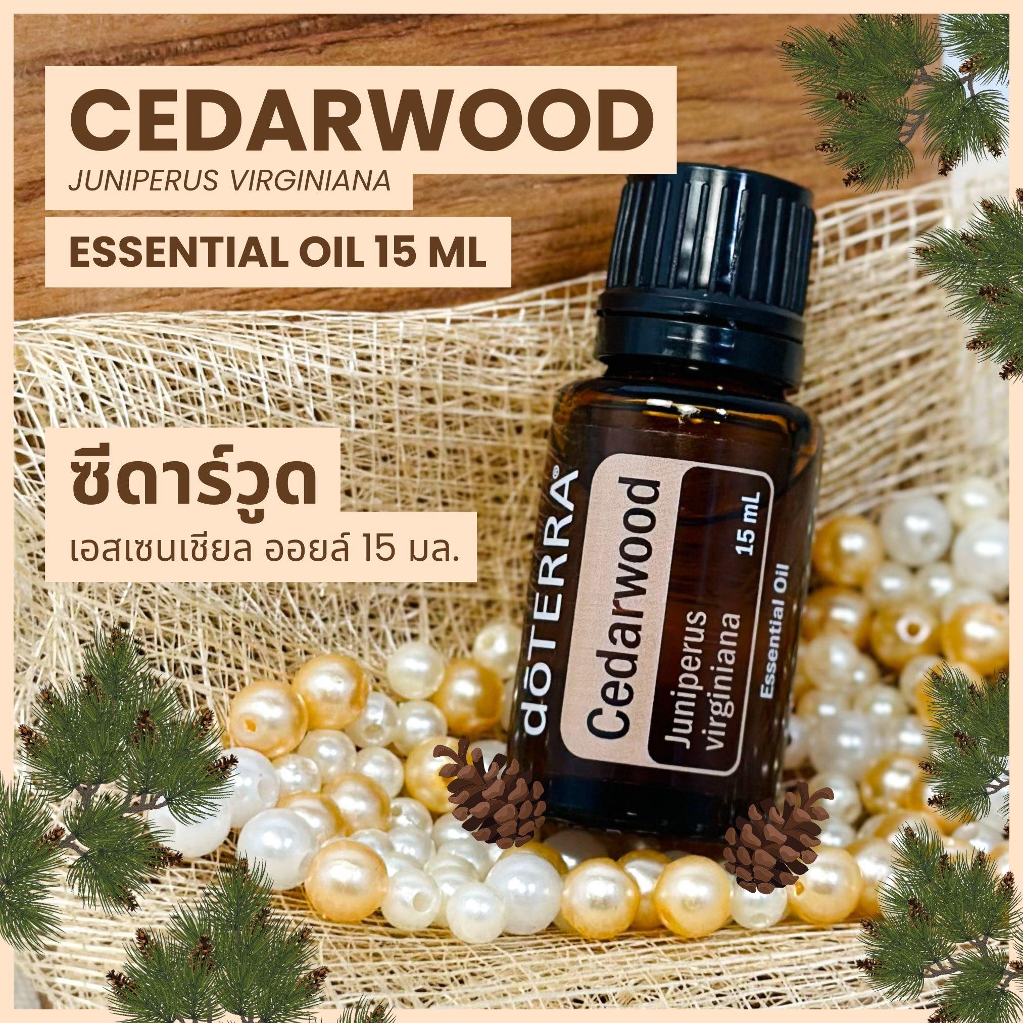 Doterra Essential Oils - Cedarwood 15ml. ราคา 600 บาท*ส่งฟรี