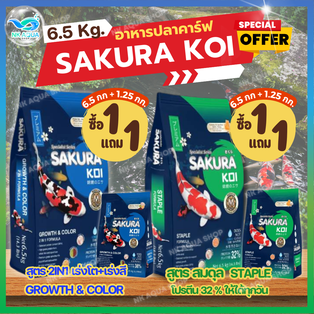 [ซื้อ1แถม1❗หรือ ฟรี+1กก.ในถุง] 🟠 อาหารปลาคาร์ฟ Sakura Koi (ซากุระ โค่ย) 🟠 2in1 Formula สูตรเร่งโต+เร่งสี ขนาด6.5 กก. เม็ดลอย ราคา 940 บาท*ส่งฟรี