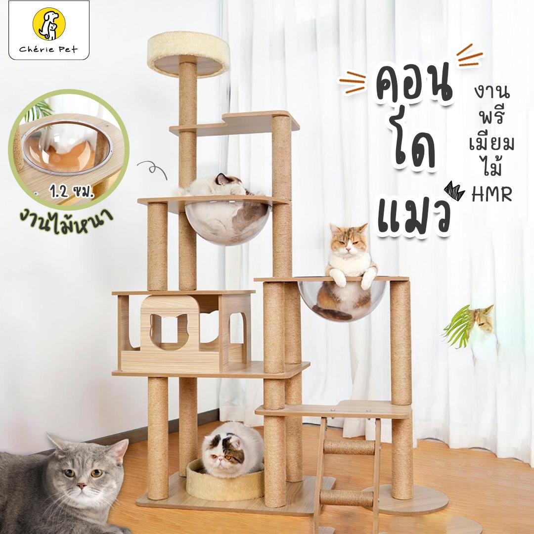 Cherie Pet シ คอนโดแมว แบบไม้หนา คอนโดแมวไม้ มินิมอล สูง 5ชั้น บ้านแมว ไม้พรีเมี่ยม สูง 158 CM ราคา 2,590 บาท*ส่งฟรี