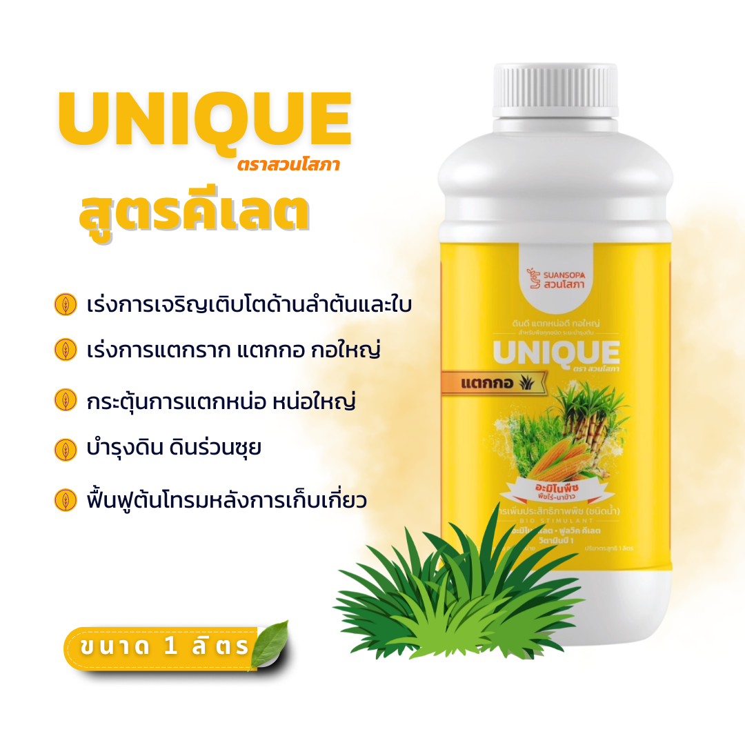 ยูนีค อะมิโนพืชไร่-นาข้าว ขนาด 1 ลิตร เร่งต้น เร่งการแตกราก แตกกอ แตกหน่อ ใบเขียว ราคา 320 บาท*ส่งฟรี