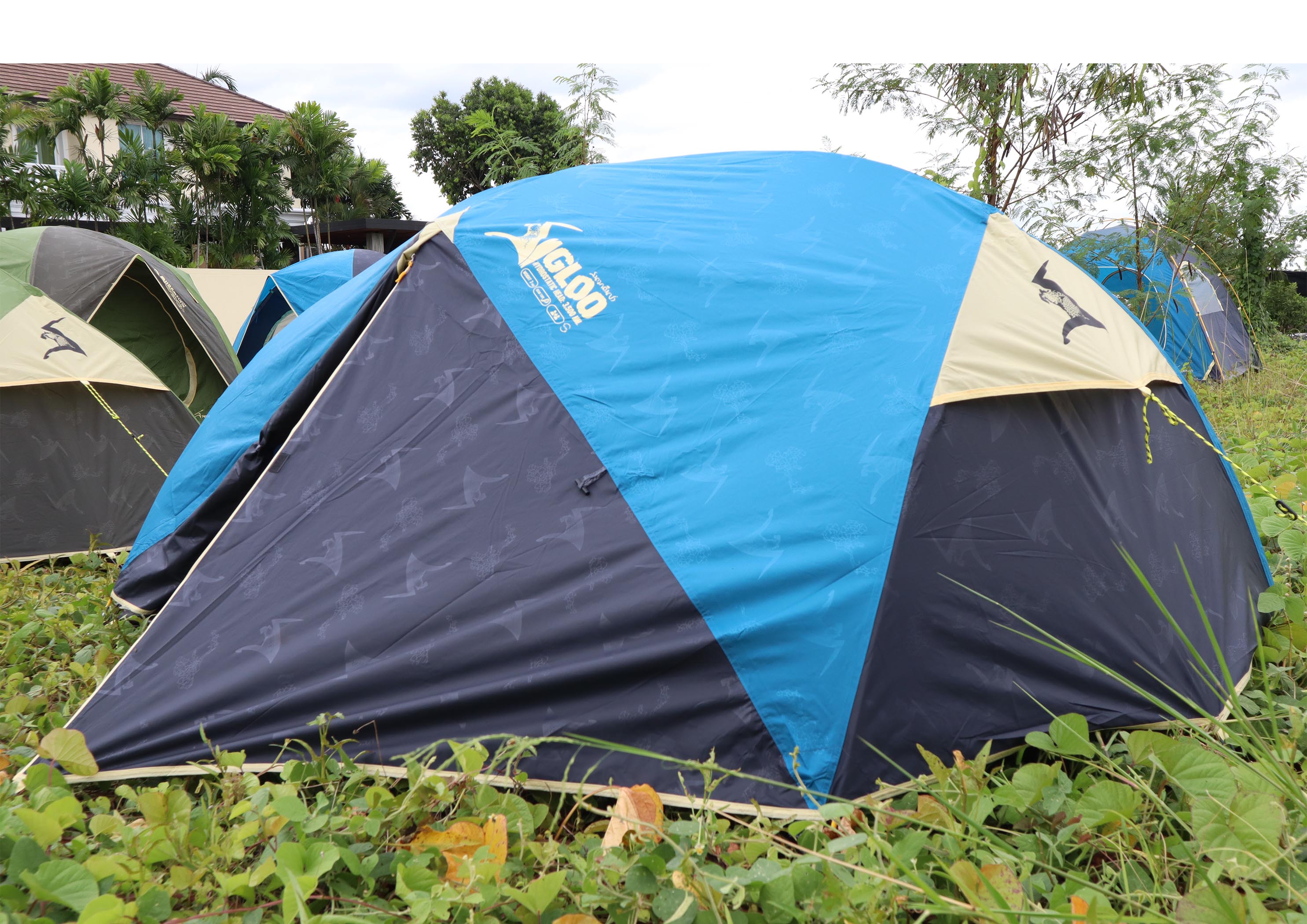 Field and Camping เต้นท์ Igloo ขนาด 140x210x110 ซม. สีน้ำเงิน-กรม