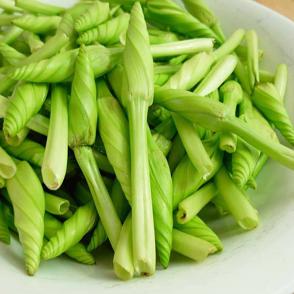 ข้อมูลประกอบของ CHIATAI 🇹🇭 ผักซอง เจียไต๋ ชมจันทร์ O047 ประมาณ 4 เมล็ด เมล็ดพันธุ์ผัก เมล็ดผัก เมล็ดพืช ผักสวนครัว