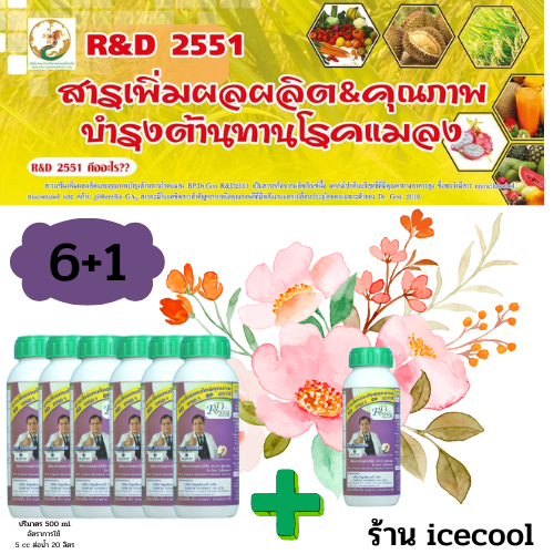 6 ขวด - RD2551 สารเสริมพืชชนิดโปรตีนอะมิโน บำรุงพืช ปลอดภัยไร้เคมี (ฟรี 1 ขวด) ราคา 3,250 บาท*ส่งฟรี