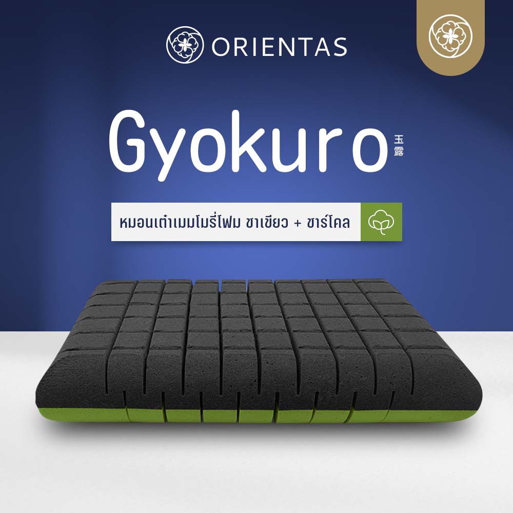 Orientas Premium memory foam pillow, the Memory Foam Pillow with cubic design, Matcha green tea mixed with bamboo charcoal 2 tone design, and ergonomic shape. ราคา 1,899 บาท*ส่งฟรี