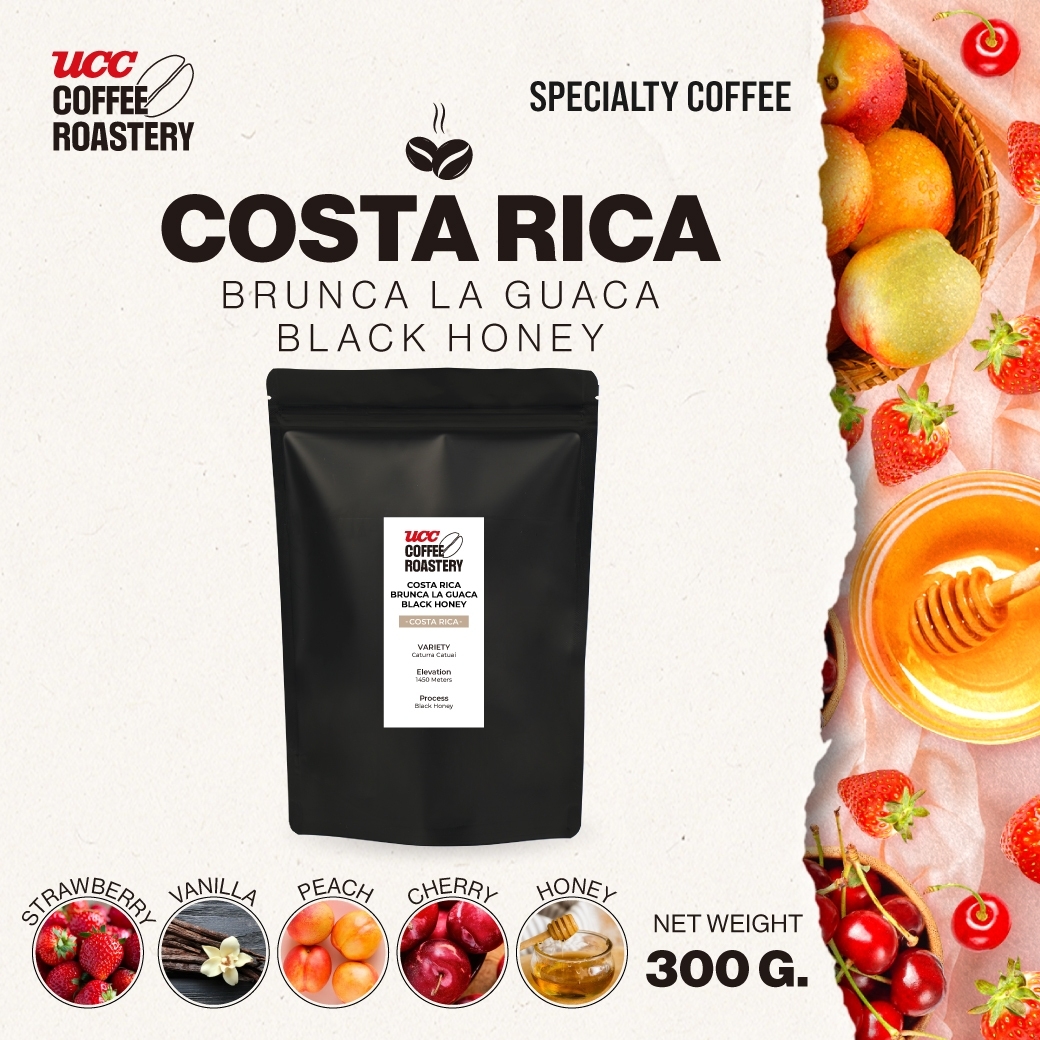 UCC Roastery - COSTA RICA BRUNCA LA GUACA BLACK HONEY (coffee bean) เมล็ดกาแฟคั่วอ่อนค่อนกลาง 300g. ราคา 507 บาท*ส่งฟรี