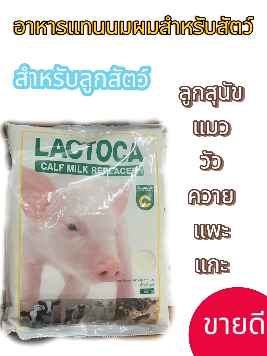Lactoca นมผงสำหรับสัตว์ หมู โค ควาย ชงง่ายสำหรับสัตว์ ราคา 149 บาท*ส่งฟรี