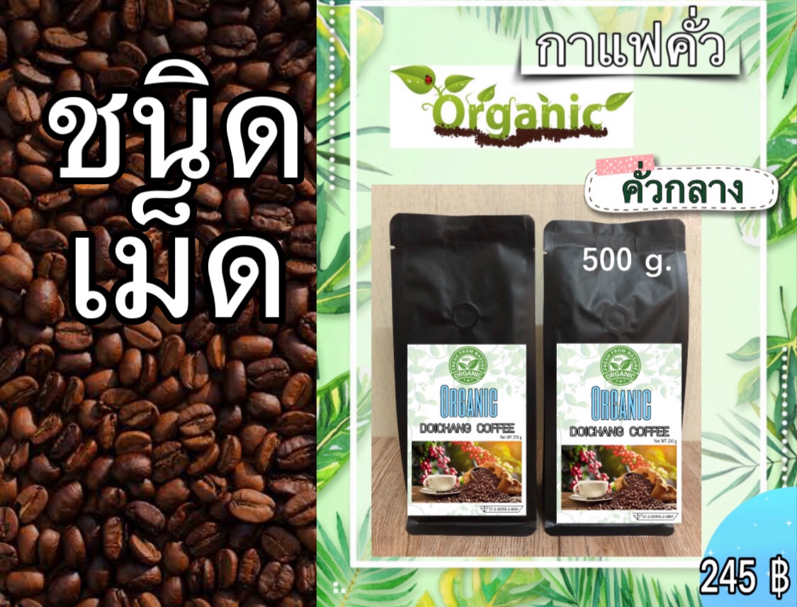 กาแฟคั่วสด ดอยช้าง ( ออร์แกนิค ) คั่วกลางชนิดเม็ด ส่งตรงจากเกษตรกร ขนาด 500 g. Doichang Organic Coffee Medium Roasted-Beans ราคา 259 บาท*ส่งฟรี
