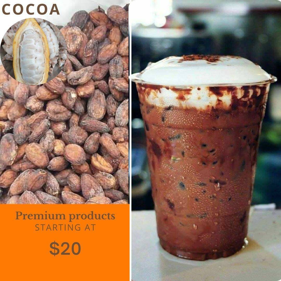 ขายส่งผงโกโก้เข้มข้นพิเศษ ถุงละ 500 กรัม สามารถใช้ทำเบเกอรี่ และเครื่องดื่มได้ ราคา 250 บาท*ส่งฟรี