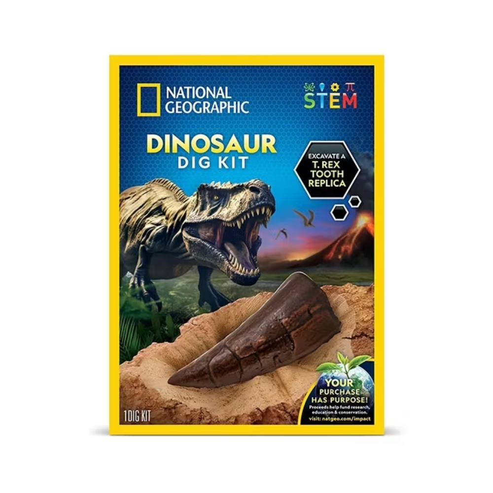 National Geographic Dino Fossil Dig Kit ของเล่น วิทยาศาสตร์ ชุดขุดฟอสซิลไดโนเสาร์ ราคา 590 บาท*ส่งฟรี