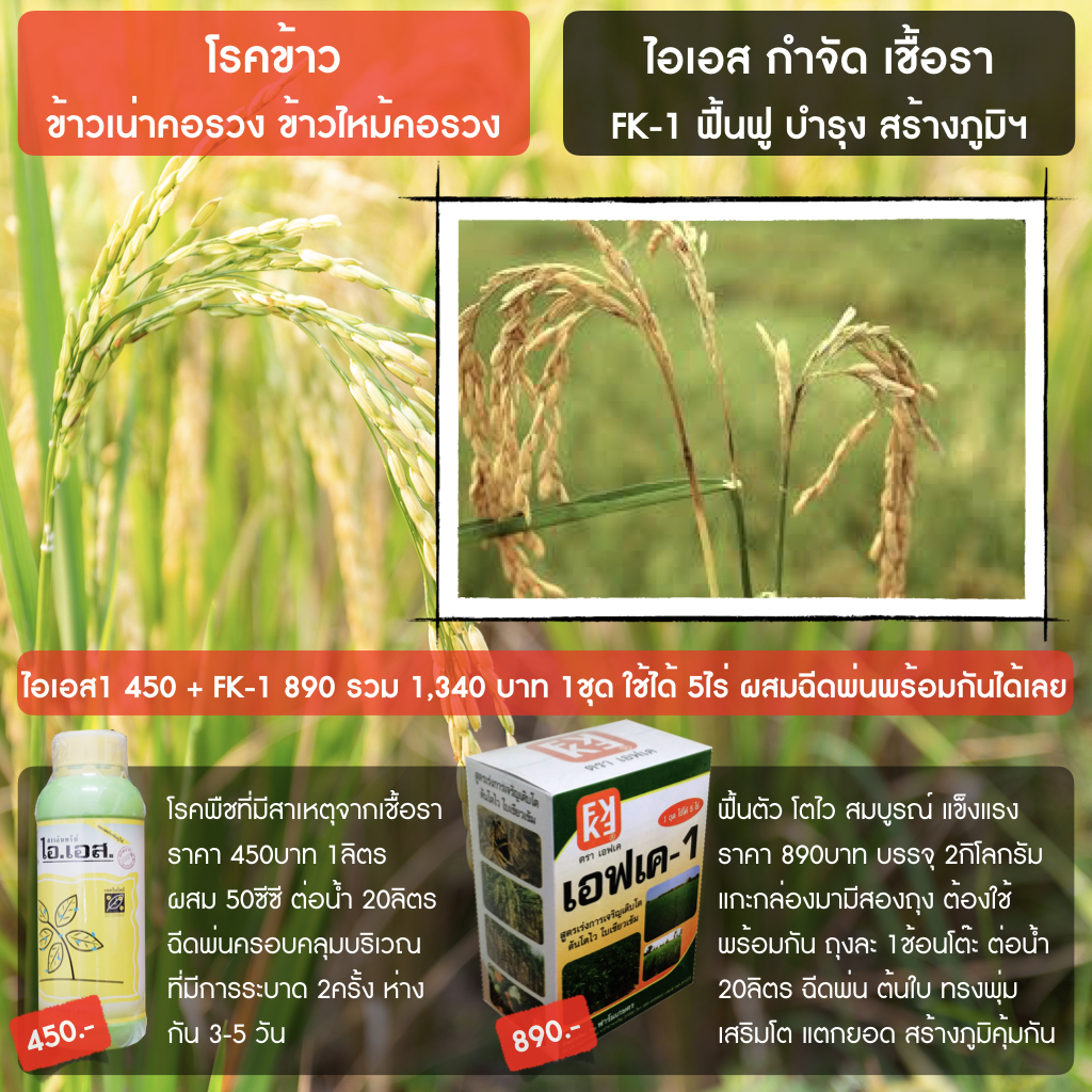 FK-1 Liquid Fertilizer for Growth Acceleration - (Green) ราคา 1,340 บาท*ส่งฟรี