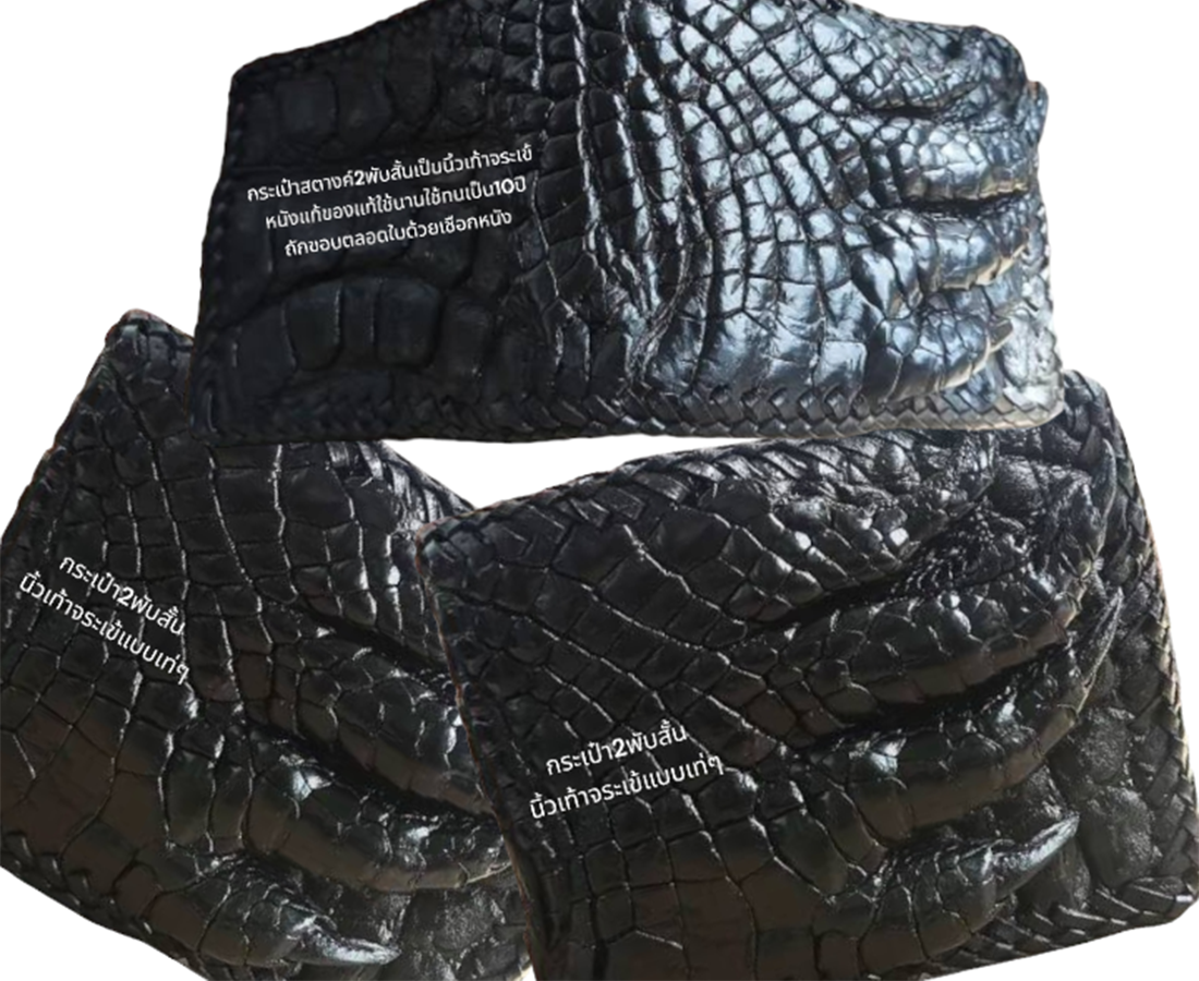 Jorakha กระเป๋าแฟชั่นเป็นนิ้วเท้าจระเข้ ราคา 1,250 บาท*ส่งฟรี