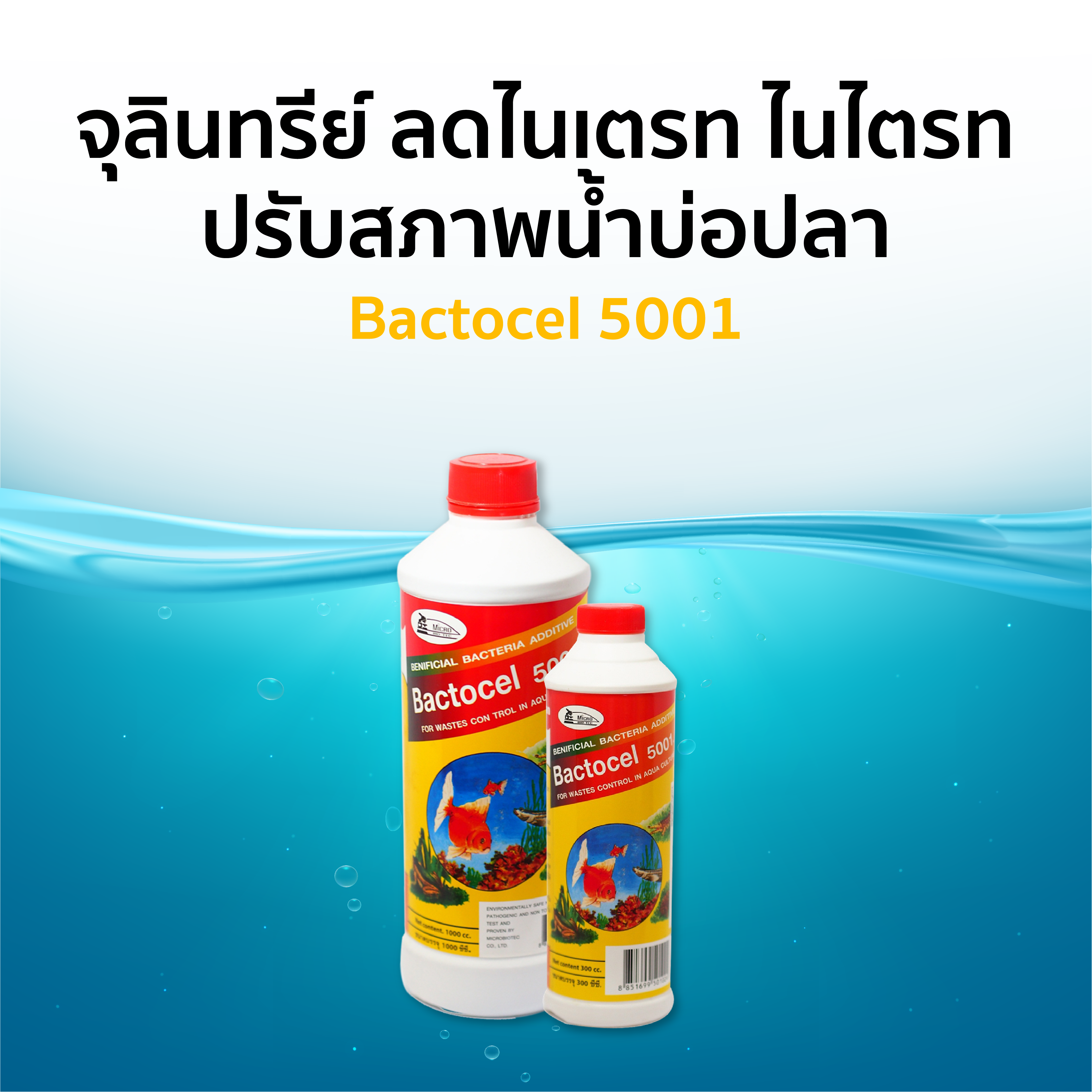 โปรโมชั่นแบคโตเซล 5001 1000cc 2 ขวด แถม 5001 300 cc 1ขวด รักษาน้ำในบ่อ น้ำใส น้ำมีกลิ่นเหม็น จุลินทรีย์น้ำใส ราคา 558 บาท*ส่งฟรี