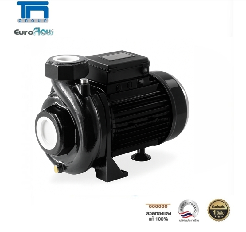 Euroflow Centrifugal Pump, Model Wr100, 1Hp, Inlet Pipe - Outlet Pipe, 1.5 Inches, 1 Horsepower. ราคา 5,033 บาท*ส่งฟรี