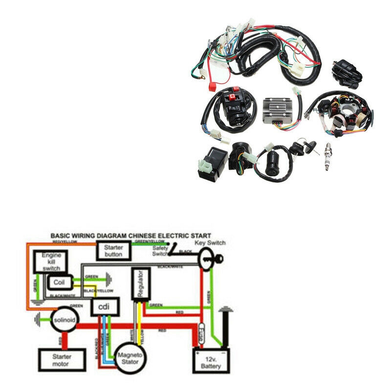 Quad Bike Wiring Diagram - 4K Wallpapers Review