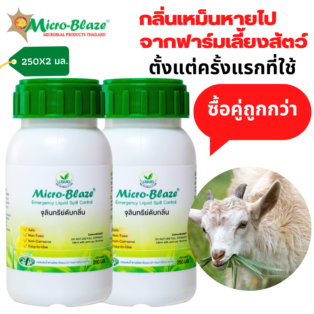 Micro-Blaze ELSC 250ml. ราคา 1,100 บาท*ส่งฟรี