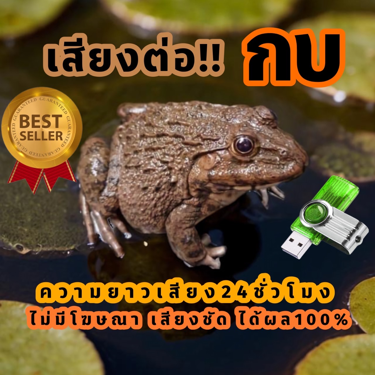 Frog Sound, Frog Sound, Frog Sound, Fast Connection, USB Flash Drive, Frog Sound. No Advertisements Inserted ราคา 193 บาท*ส่งฟรี
