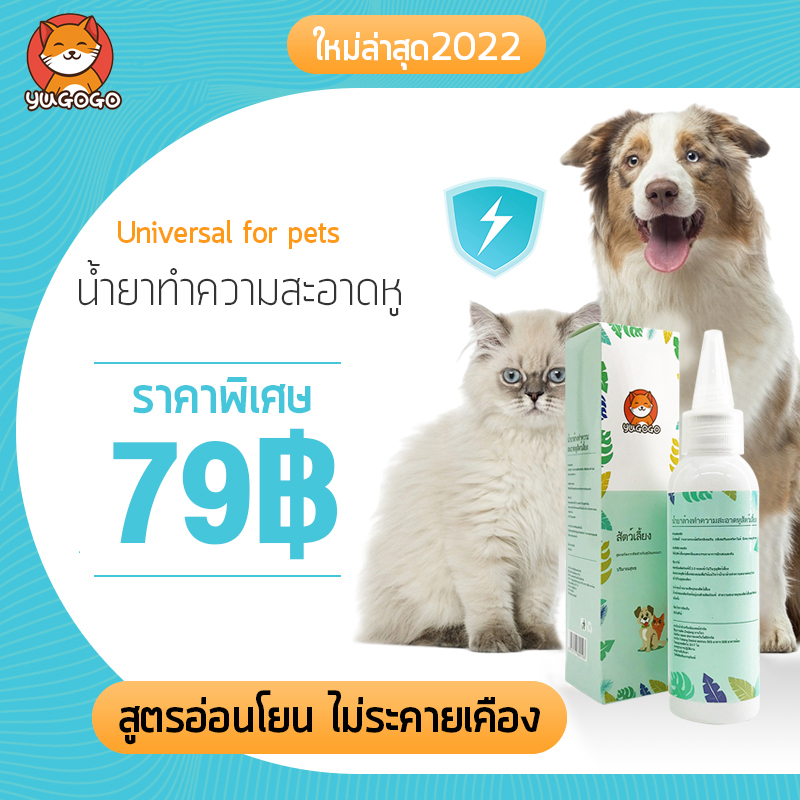 YUGOGO น้ำยาเช็ดหู สำหรับสัตว์เลี้ยง 50 ml ทำความสะอาด ลดกลิ่นเหม็น ขจัดคราบสกปรก ปลอดภัยไม่มีแอลกอฮอ ยาหยอดไรหูแมว น้ำยาล้างหูหมา ราคา 69 บาท*ส่งฟรี