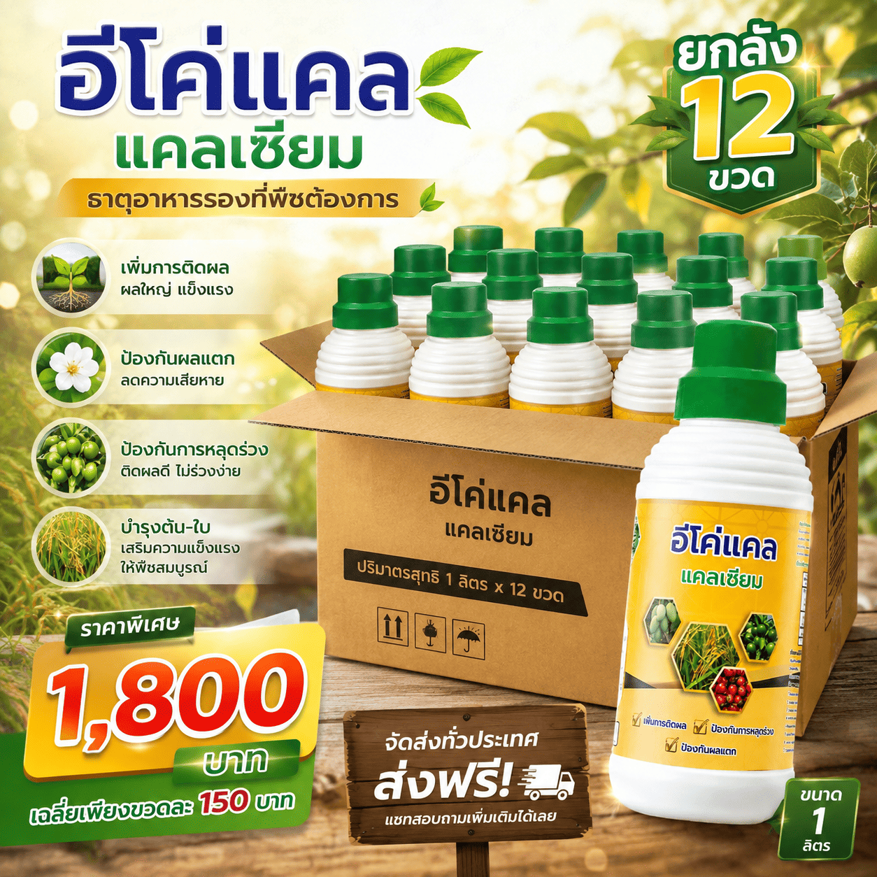 Eco-Cal, Whole Box of 12 Bottles, Good Calcium Boron Chelate Type, Ratio 4:1, Meaning 4% Calcium, 1% Boron.