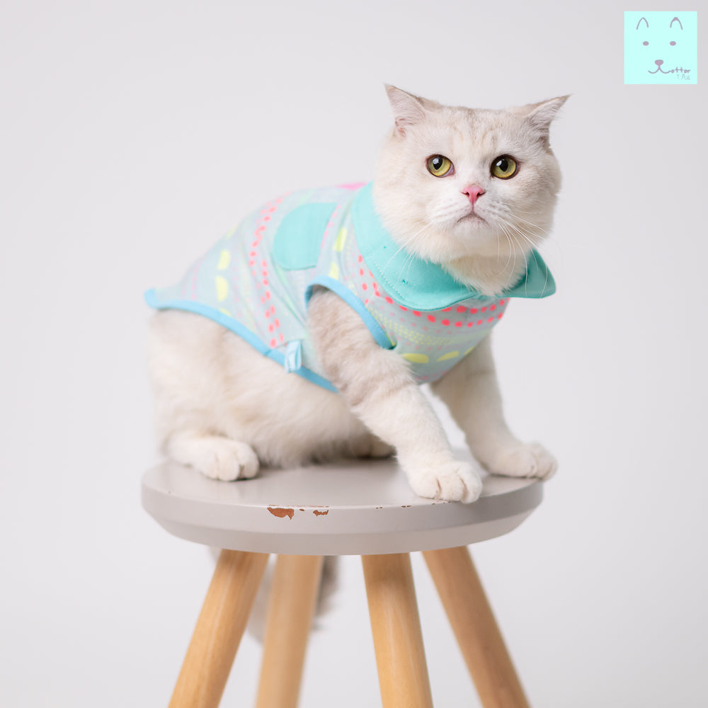 Cotton Tail เสื้อผ้าสัตว์เลี้ยง, หมา, แมว, สุนัข รุ่น Crispy Jelly Mint ราคา 450 บาท*ส่งฟรี