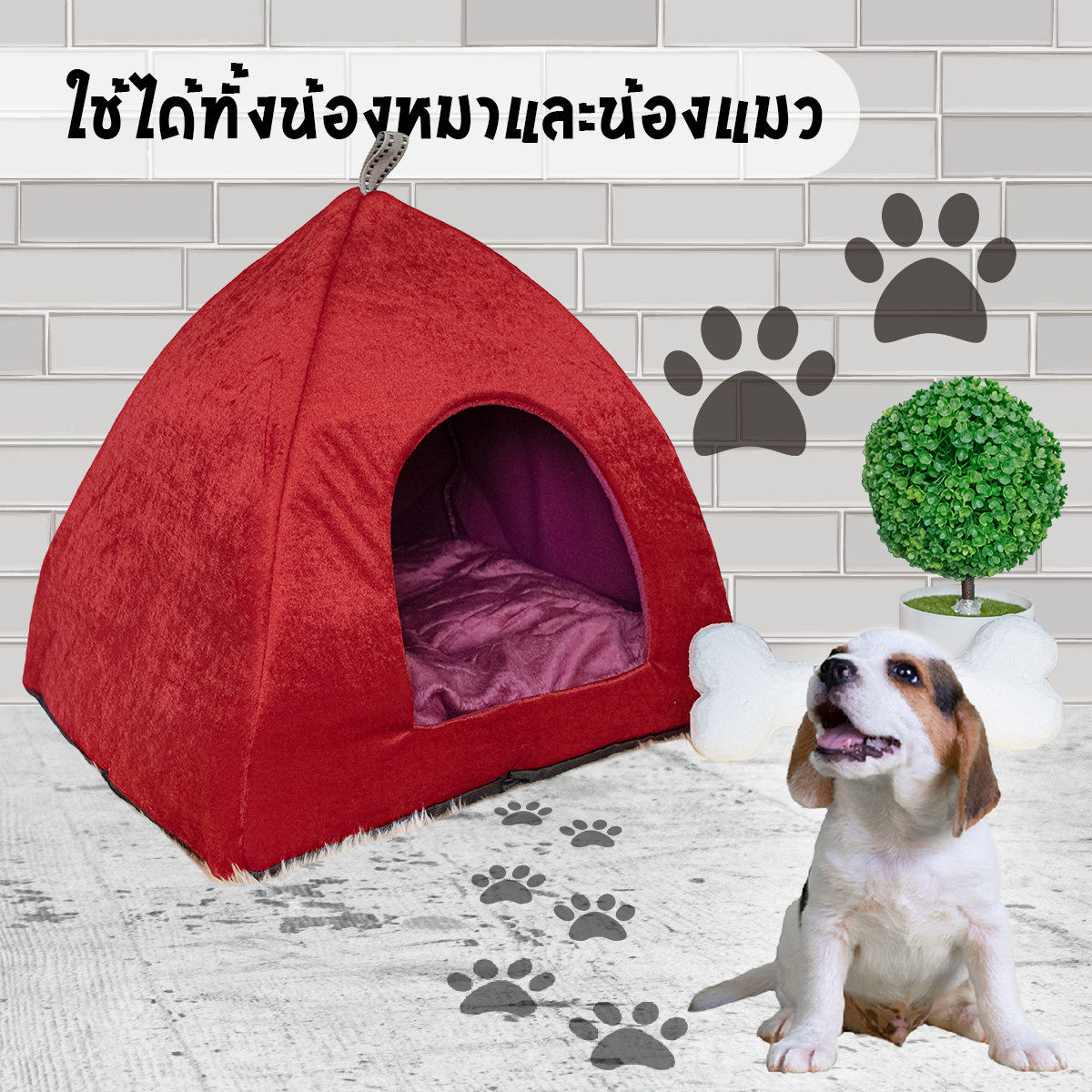 Hisale ?⚡สินค้ามาใหม่?⚡ บ้านนอนสัตว์เลี้ยงขนาดเล็กพับเก็บได้ ที่นอนสัตว์ ที่นอนแมว ที่นอนหมา บ้านแมว บ้านหมา บ้านนอนสัตว์เลี้ยงพับได้