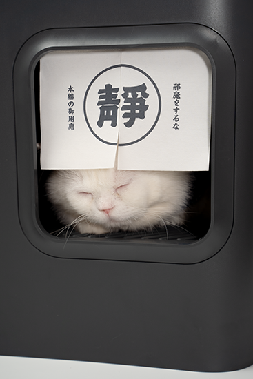 ห้องน้ำแมว รุ่น J1 แพนโด้ Pando J1 Cat Litter Box Grey ราคา 4,800 บาท*ส่งฟรี