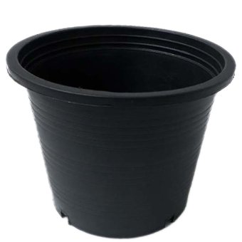 papamami Pots Round Black Plastic กระถางพลาสติกกลม 15 นิ้ว 10 ใบ (สีดำ) papamami Pots Round Black Plastic กระถางพลาสติกกลม 15 นิ้ว 10 ใบ (สีดำ)