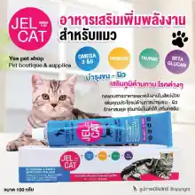 ภาพขนาดย่อของสินค้าอาหารเสริมแมว Jel Cat อาหารเสริมเพิ่มพลังงาน บำรุงขน-ผิว เสริมภูมิต้านทานโรค ขนาด 100 กรัม โดย Yes Pet Shop
