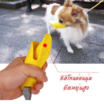 ซื้อของคุณภาพ