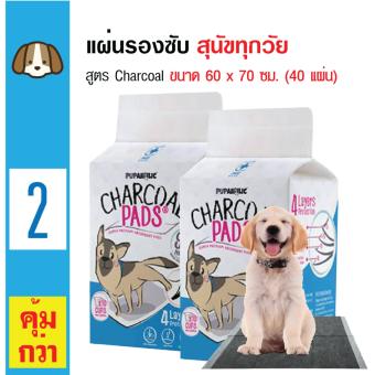 Charcoal Pads แผ่นรองซับชาร์โคล แผ่นหนา4ชั้น แผ่นรองฉี่สุนัข สำหรับสุนัขทุกวัย ขนาด 60x70 ซม. (40 แผ่น) x 2 แพ็ค Charcoal Pads แผ่นรองซับชาร์โคล แผ่นหนา4ชั้น แผ่นรองฉี่สุนัข สำหรับสุนัขทุกวัย ขนาด 60x70 ซม. (40 แผ่น) x 2 แพ็ค