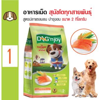 Dog 'n Joy อาหารเม็ดสุนัข สูตรปลาแซลมอน บำรุงผิวหนังและขน สำหรับสุนัขโตทุกสายพันธุ์ ขนาด 2 กิโลกรัม Dog 'n Joy อาหารเม็ดสุนัข สูตรปลาแซลมอน บำรุงผิวหนังและขน สำหรับสุนัขโตทุกสายพันธุ์ ขนาด 2 กิโลกรัม